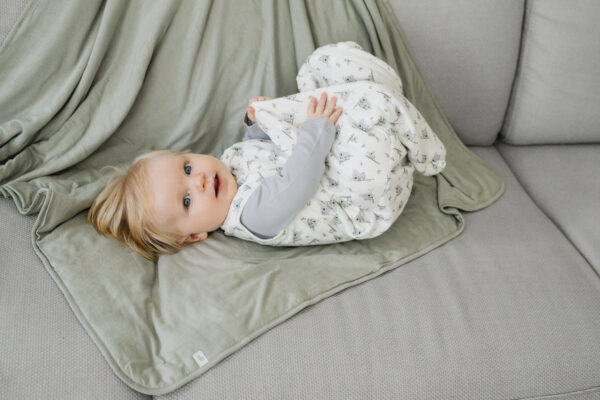 Perlimpinpin - 2.5 Tog (Winter) Bamboo Sleeping Bag - Koalas - Image 3
